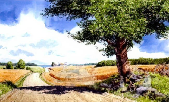 Harvest Lunch