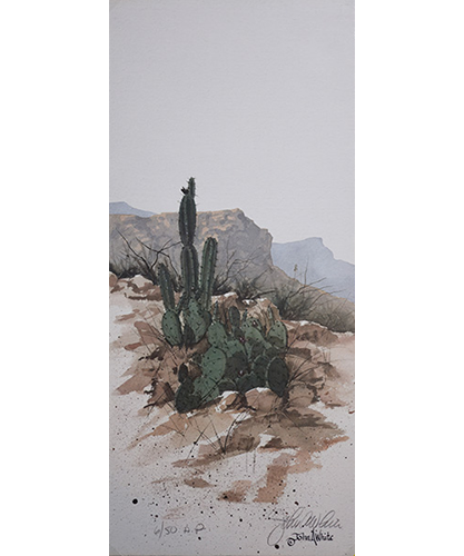 Desert Flowers