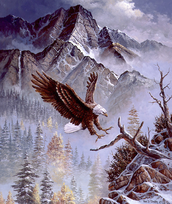 Awesome Flight